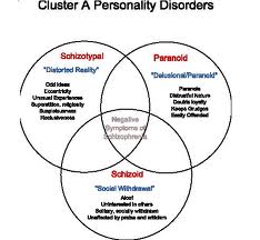 personality disorder disorders schizotypal cluster common most clusters three schizophrenia paranoid loner borderline paranoia overview tai avoidant latent